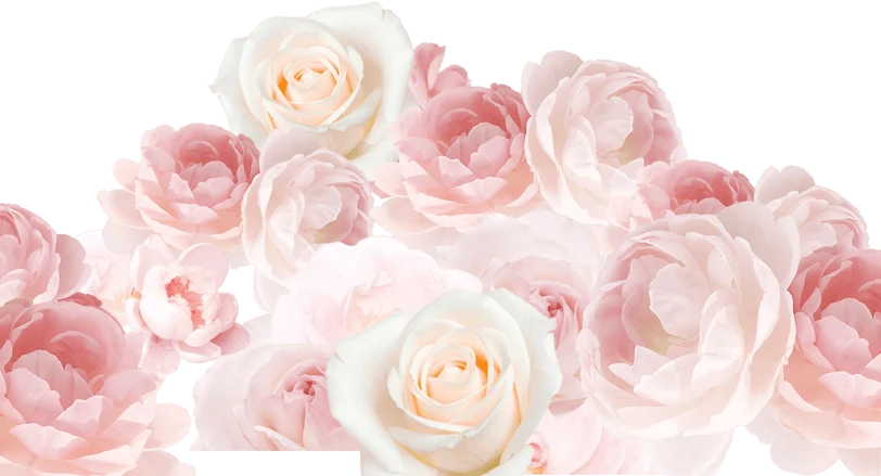 awesome-rose-background